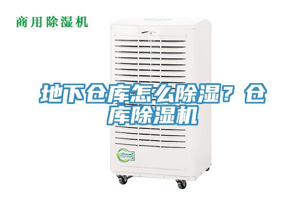 地下仓库怎么除湿？仓库除湿机