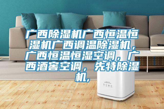 广西除湿机广西恒温恒湿机广西调温除湿机，广西恒温恒湿空调，广西酒窖空调，先特除湿机,