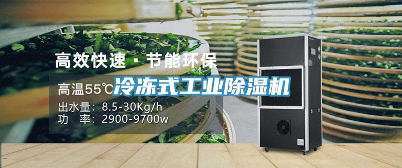 冷冻式工业除湿机