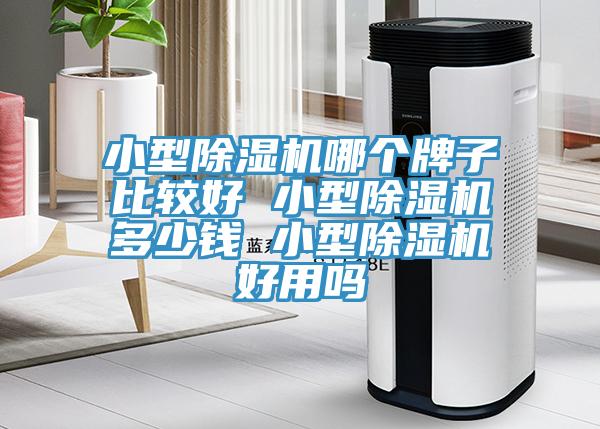 小型除湿机哪个牌子比较好 小型除湿机多少钱 小型除湿机好用吗