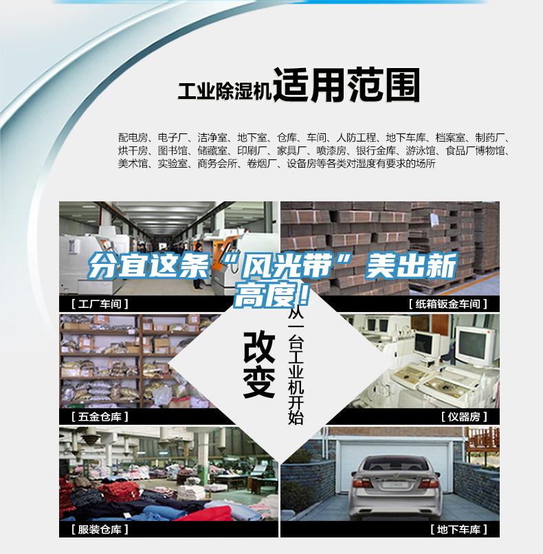 分宜这条“风光带”美出新高度！
