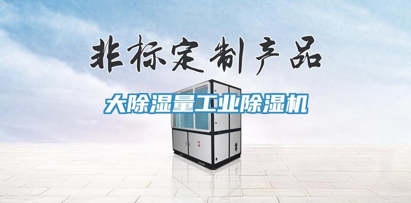 大除湿量工业除湿机