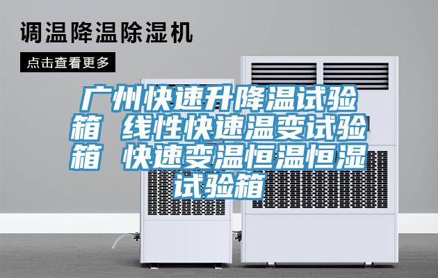 广州快速升降温试验箱 线性快速温变试验箱 快速变温恒温恒湿试验箱