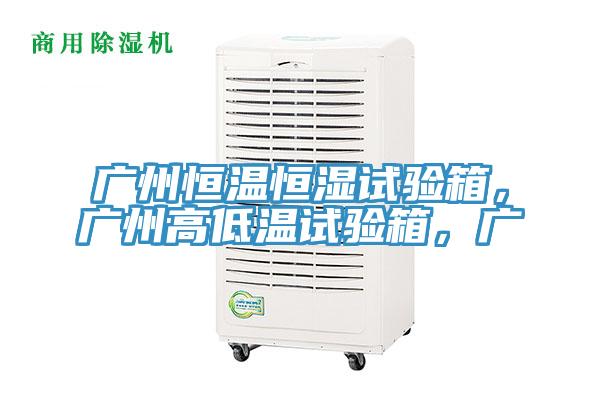 广州恒温恒湿试验箱，广州高低温试验箱，广