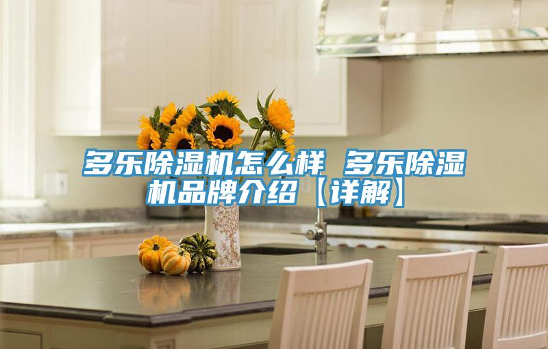 多乐除湿机怎么样 多乐除湿机品牌介绍【详解】