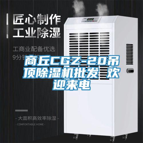 商丘CGZ-20吊顶除湿机批发 欢迎来电