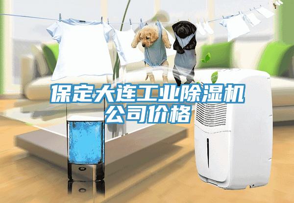 保定大连工业除湿机公司价格