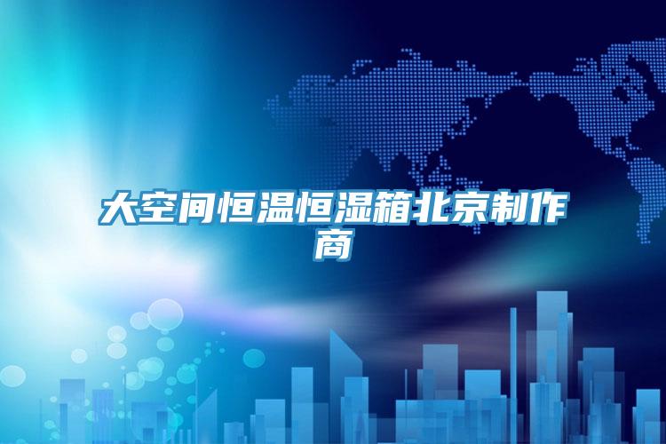 大空间恒温恒湿箱北京制作商