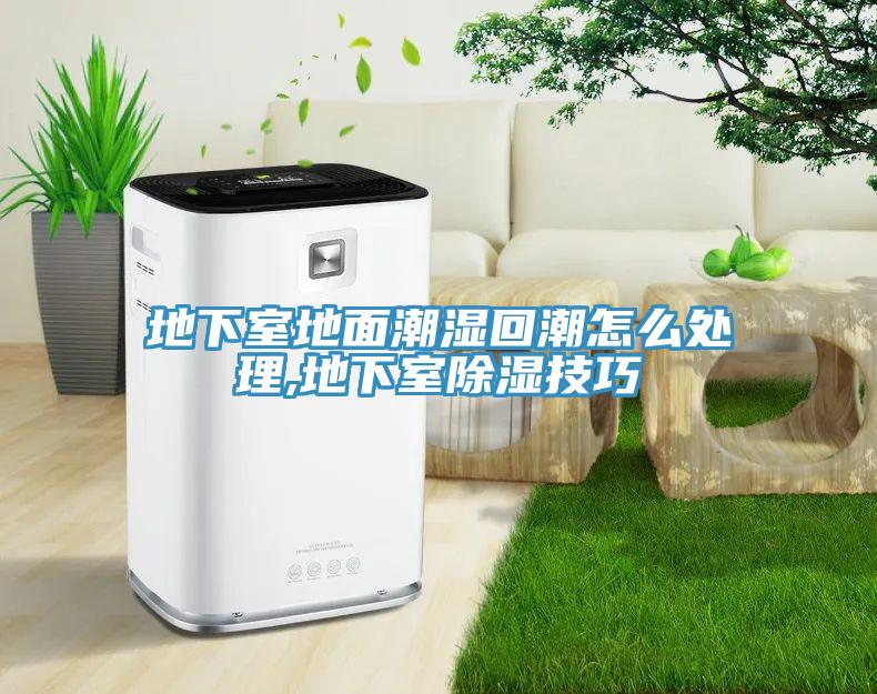 地下室地面潮湿回潮怎么处理,地下室除湿技巧