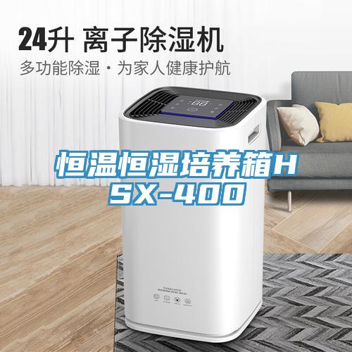 恒温恒湿培养箱HSX-400