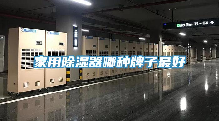 家用除湿器哪种牌子最好