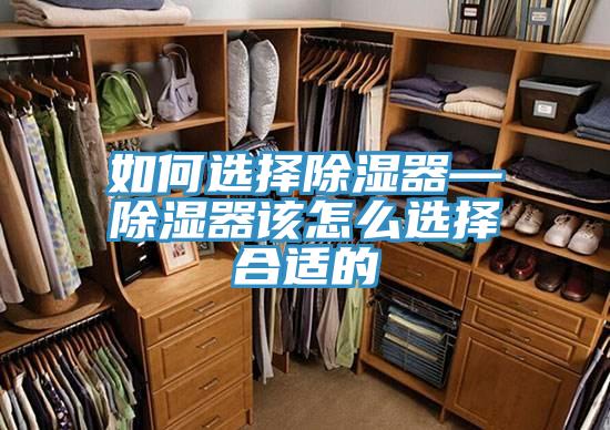 如何选择除湿器—除湿器该怎么选择合适的