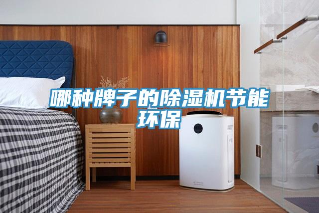 哪种牌子的除湿机节能环保