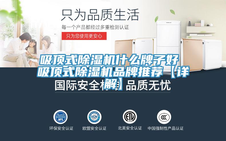 吸顶式除湿机什么牌子好 吸顶式除湿机品牌推荐【详解】