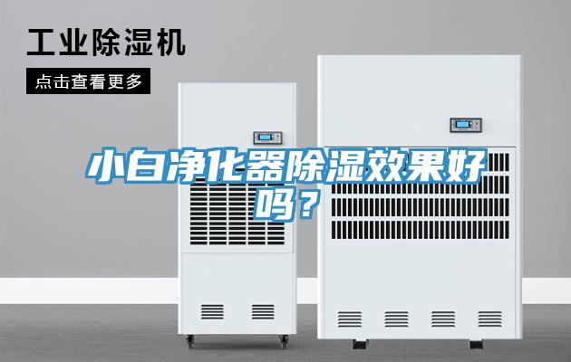 小白净化器除湿效果好吗？