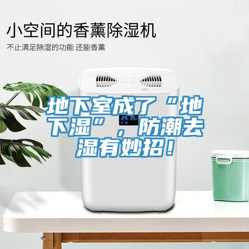 地下室成了“地下湿”，防潮去湿有妙招！