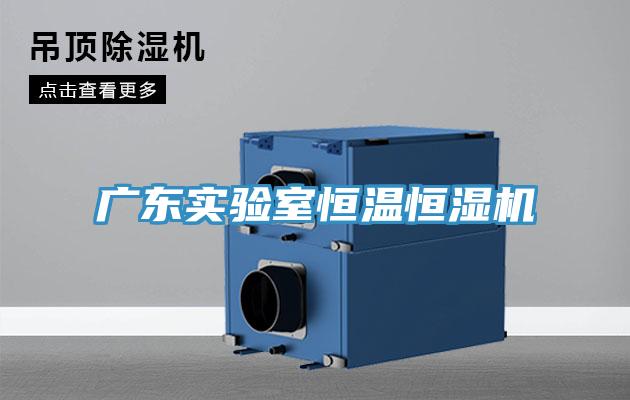 广东实验室恒温恒湿机
