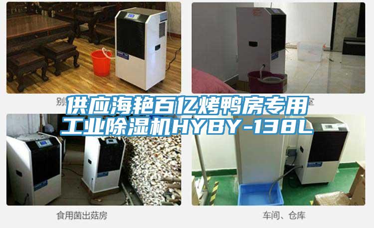 供应海艳百亿烤鸭房专用工业除湿机HYBY-138L