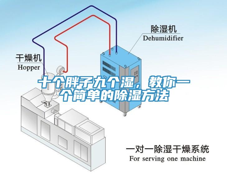 十个胖子九个湿，教你一个简单的除湿方法