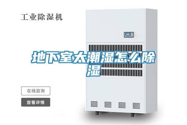 地下室太潮湿怎么除湿
