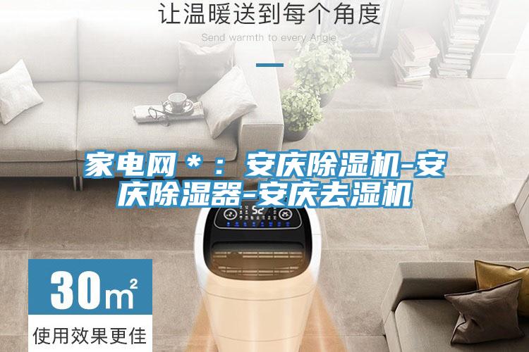 家电网＊：安庆除湿机-安庆除湿器-安庆去湿机