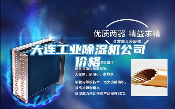 大连工业除湿机公司价格
