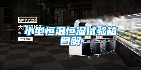小型恒温恒湿试验箱图解