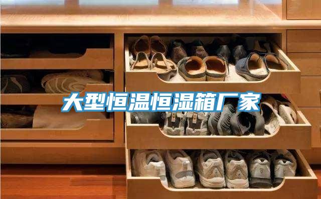 大型恒温恒湿箱厂家