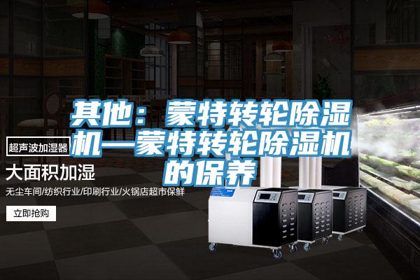 其他：蒙特转轮除湿机—蒙特转轮除湿机的保养