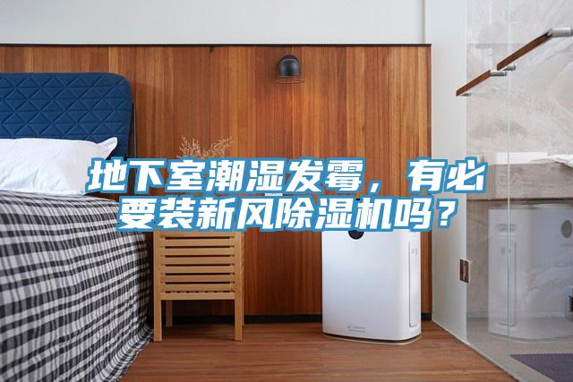 地下室潮湿发霉，有必要装新风除湿机吗？