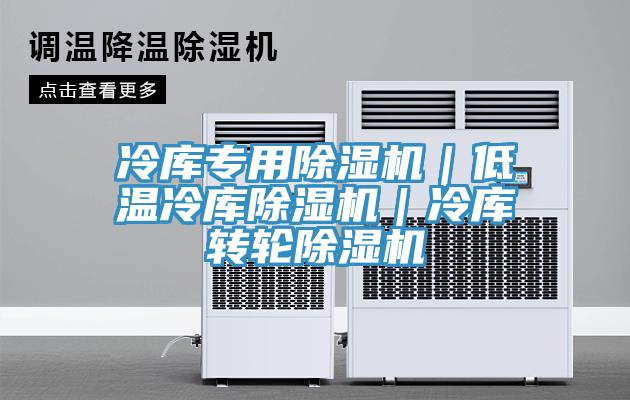 冷库专用除湿机|低温冷库除湿机|冷库转轮除湿机