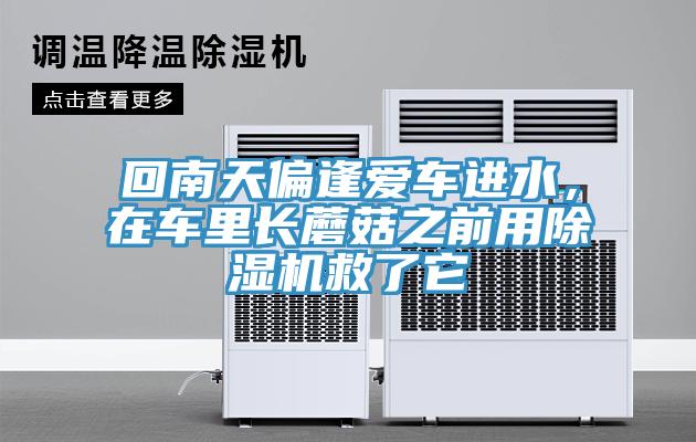 回南天偏逢爱车进水，在车里长蘑菇之前用除湿机救了它