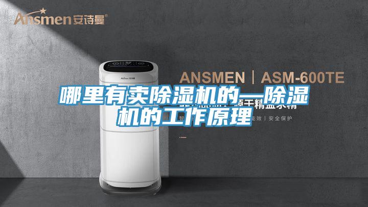 哪里有卖除湿机的—除湿机的工作原理