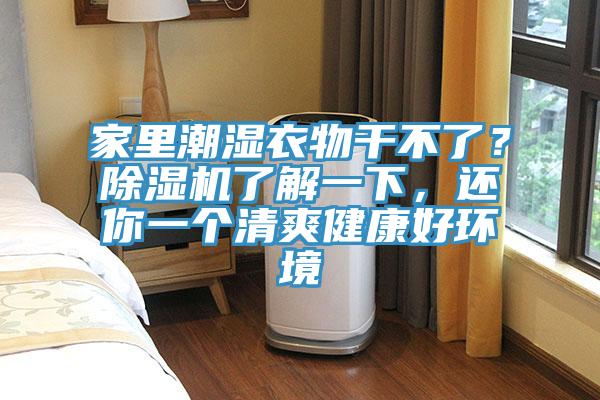 家里潮湿衣物干不了？除湿机了解一下，还你一个清爽健康好环境