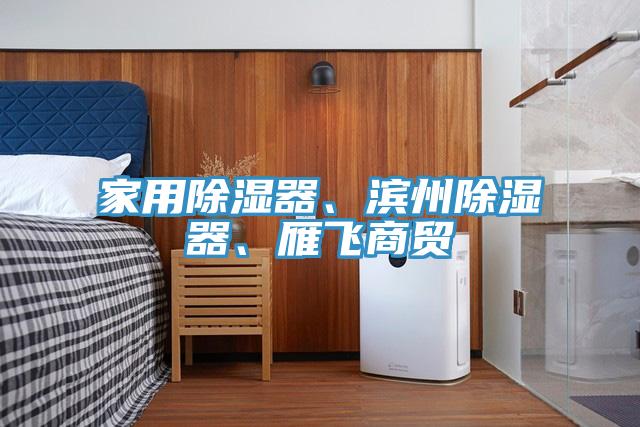 家用除湿器、滨州除湿器、雁飞商贸