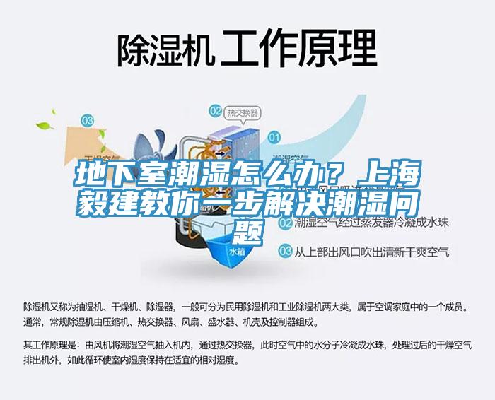 地下室潮湿怎么办？上海毅建教你一步解决潮湿问题