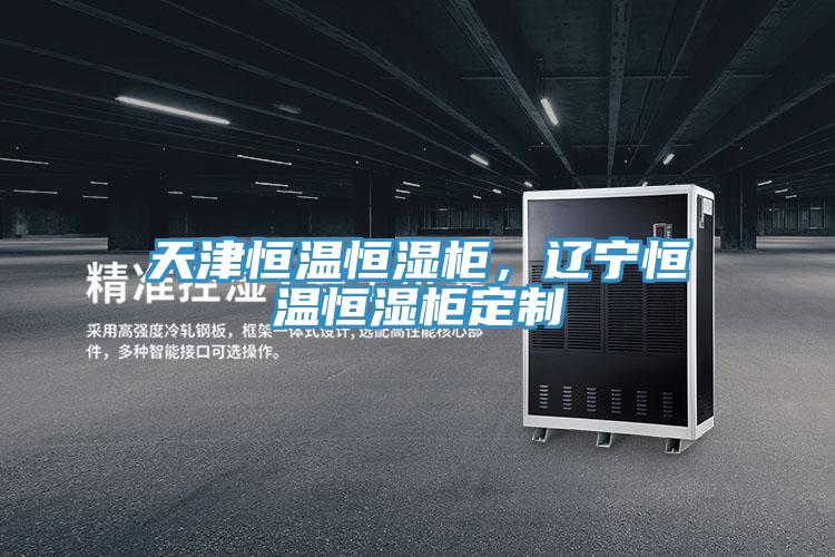 天津恒温恒湿柜，辽宁恒温恒湿柜定制