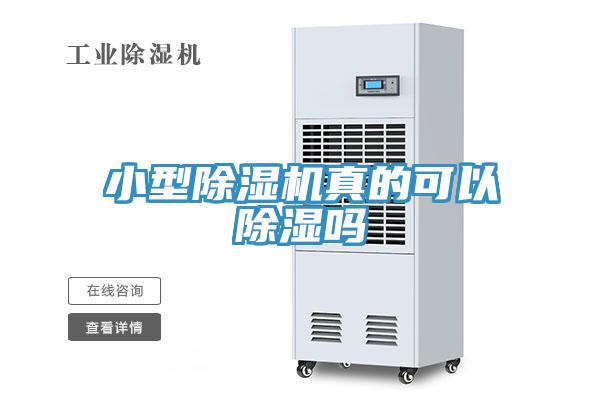 小型除湿机真的可以除湿吗