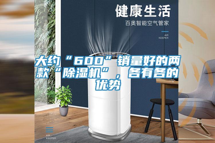大约“600”销量好的两款“除湿机”，各有各的优势