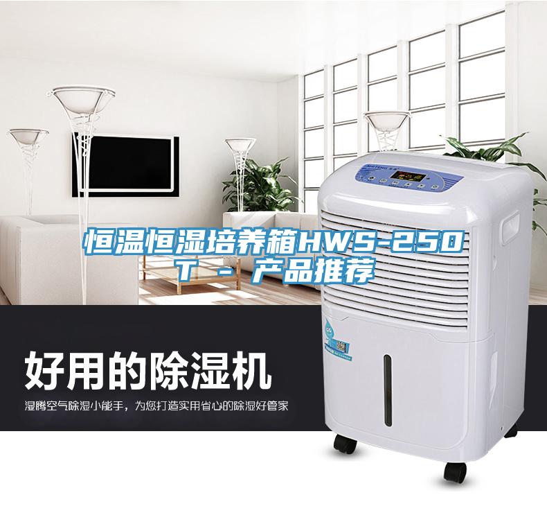 恒温恒湿培养箱HWS-250T - 产品推荐