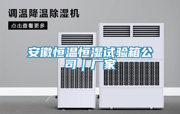 安徽恒温恒湿试验箱公司｜厂家