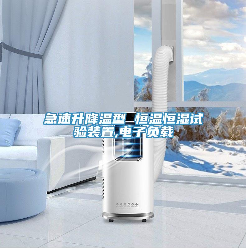 急速升降温型 恒温恒湿试验装置,电子负载