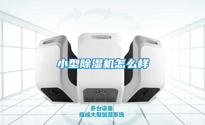 小型除湿机怎么样