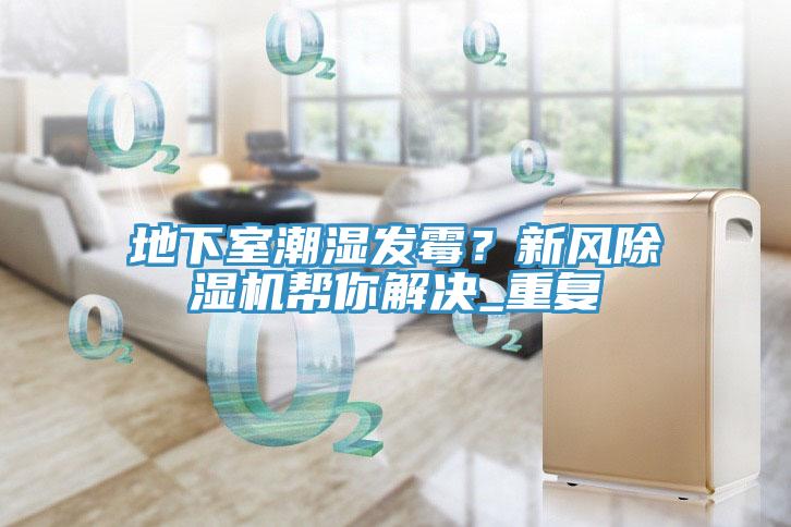 地下室潮湿发霉？新风除湿机帮你解决_重复