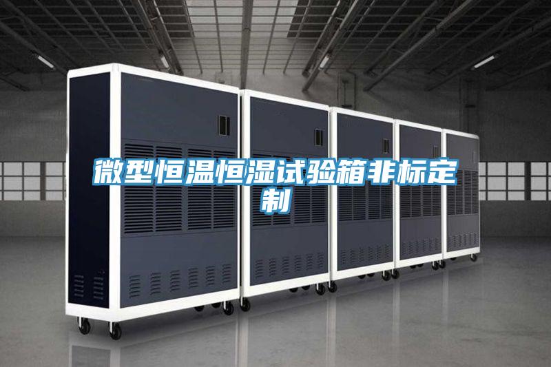 微型恒温恒湿试验箱非标定制