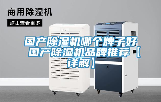 国产除湿机哪个牌子好 国产除湿机品牌推荐【详解】