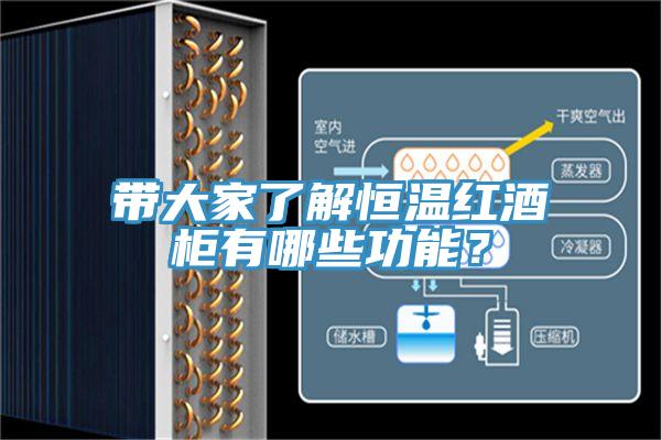 带大家了解恒温红酒柜有哪些功能？