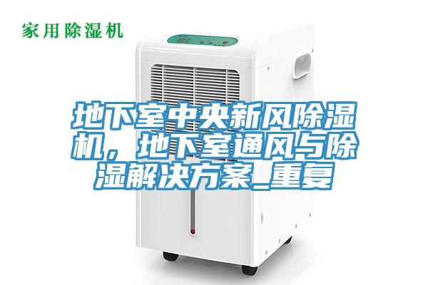 地下室中央新风除湿机,地下室通风与除湿解决方案_重复