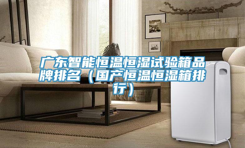 广东智能恒温恒湿试验箱品牌排名(国产恒温恒湿箱排行)