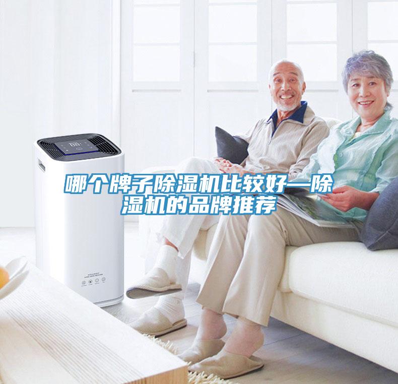哪个牌子除湿机比较好—除湿机的品牌推荐
